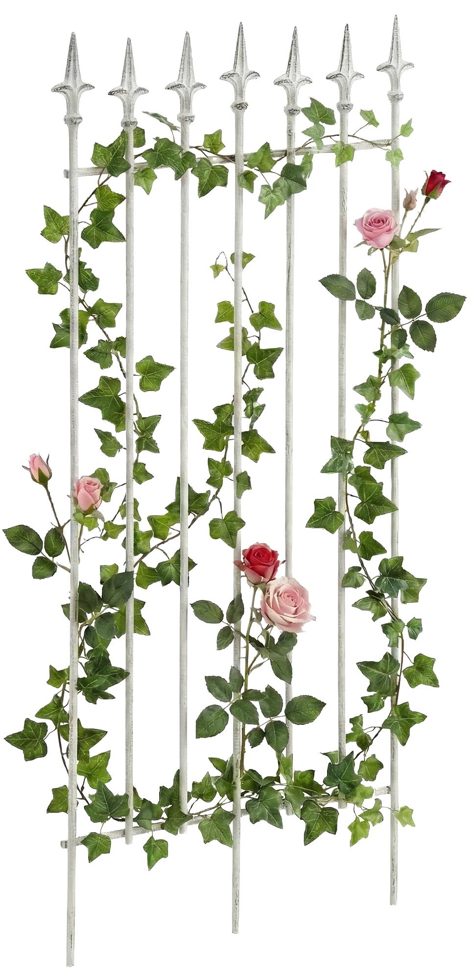 Rankgitter-Elisa-100-x-50-cm-305407