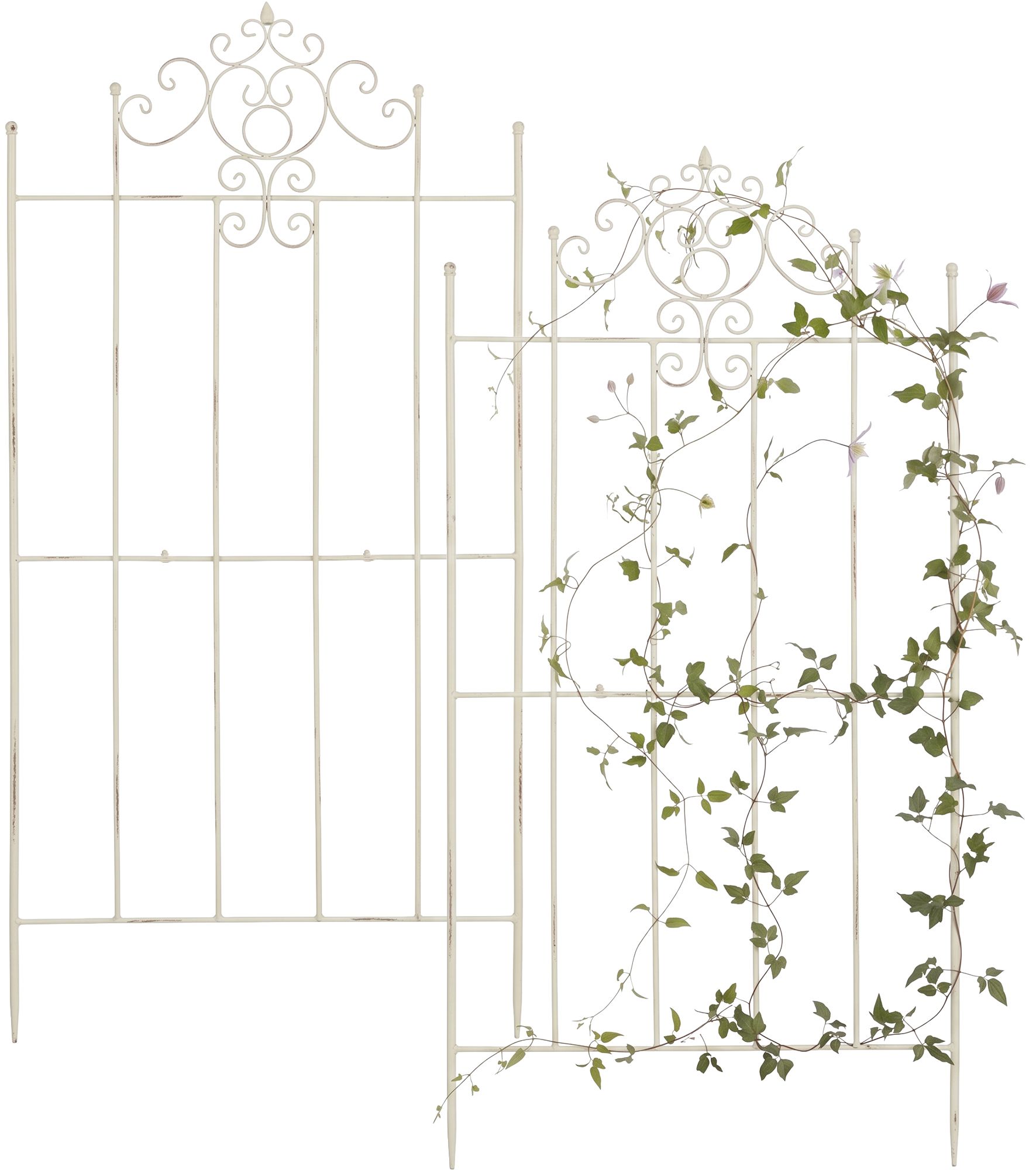 Jeu de 2 treillages Paula 170 x 86 cm