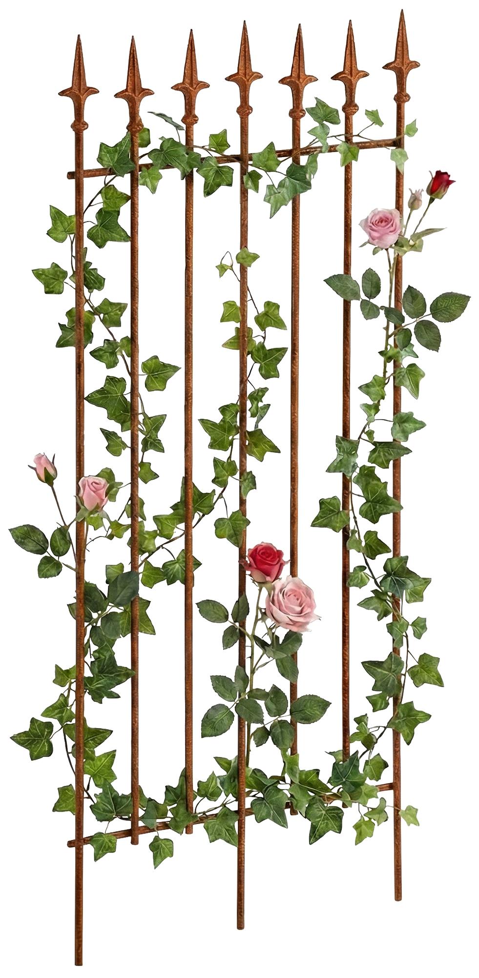 Rankgitter-Elisa-100-x-50-cm-305455