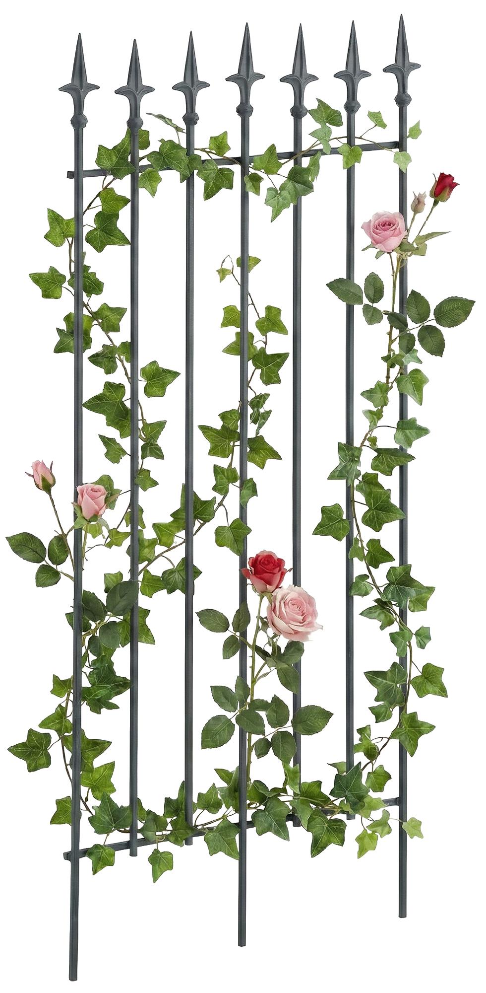 Rankgitter-Elisa-100-x-50-cm-305695