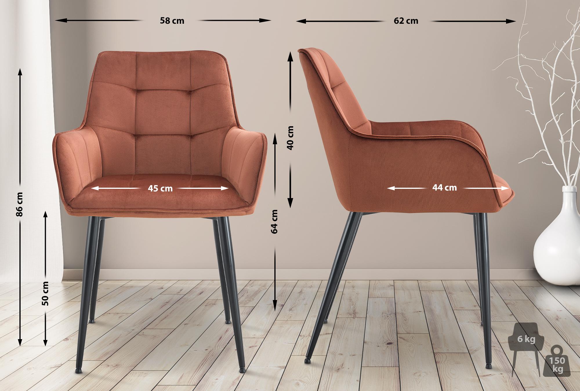 Lot de 2 chaises de salle à manger Ferndale velours