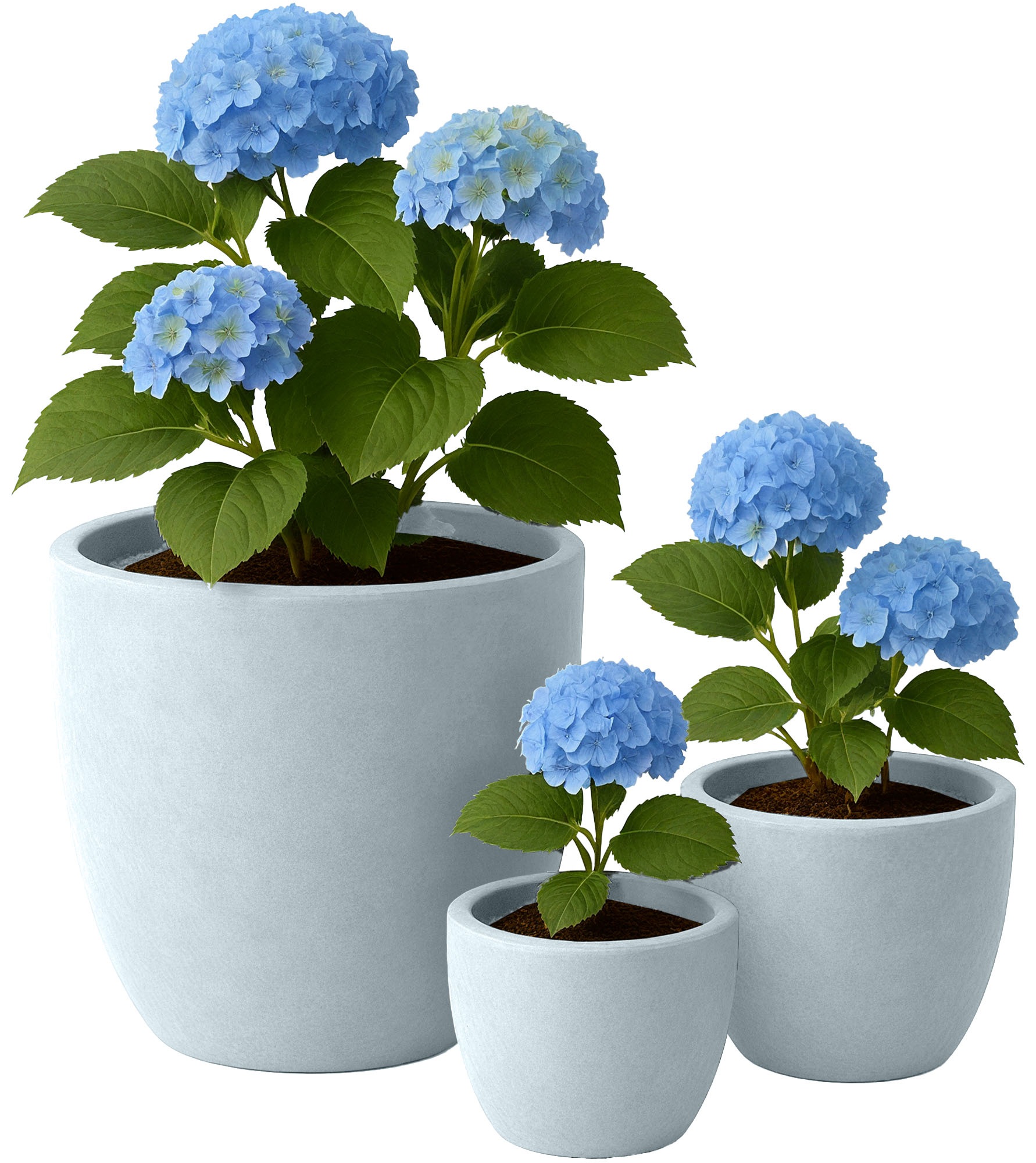 Set de 3 bacs à plantes ronds 1
