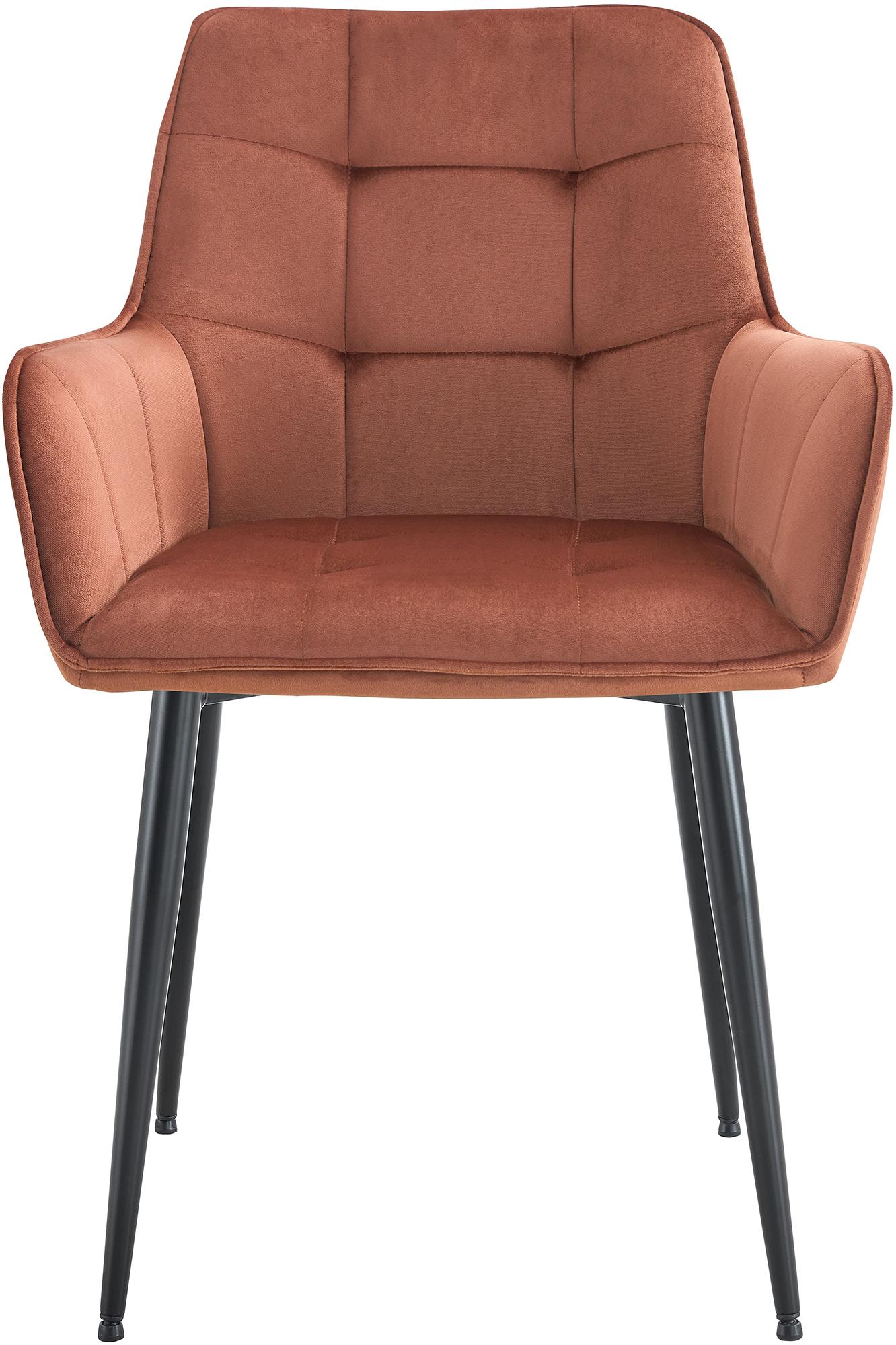 Lot de 2 chaises de salle à manger Ferndale velours