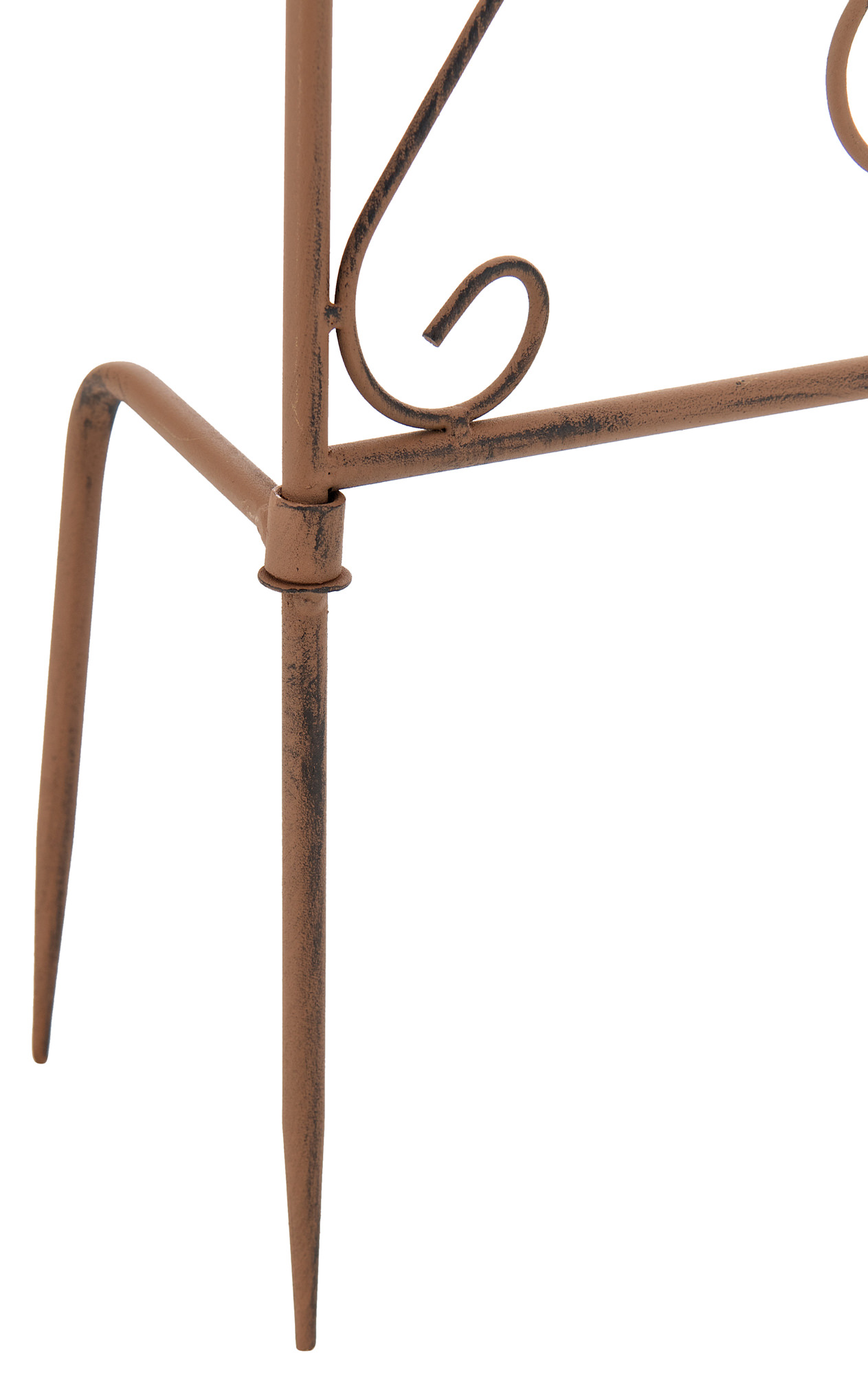 Treillis pour plantes grimpantes Burgus