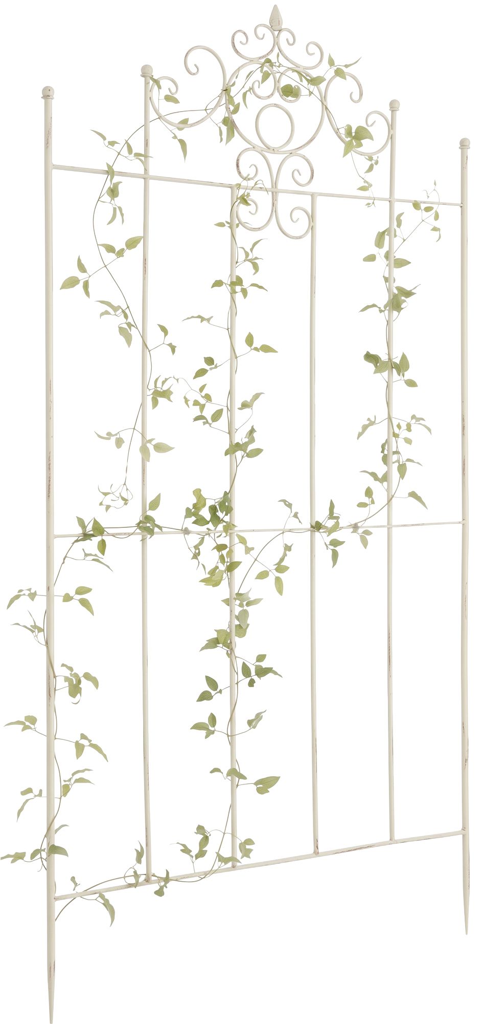 Treillis Paula 170 x 86 cm
